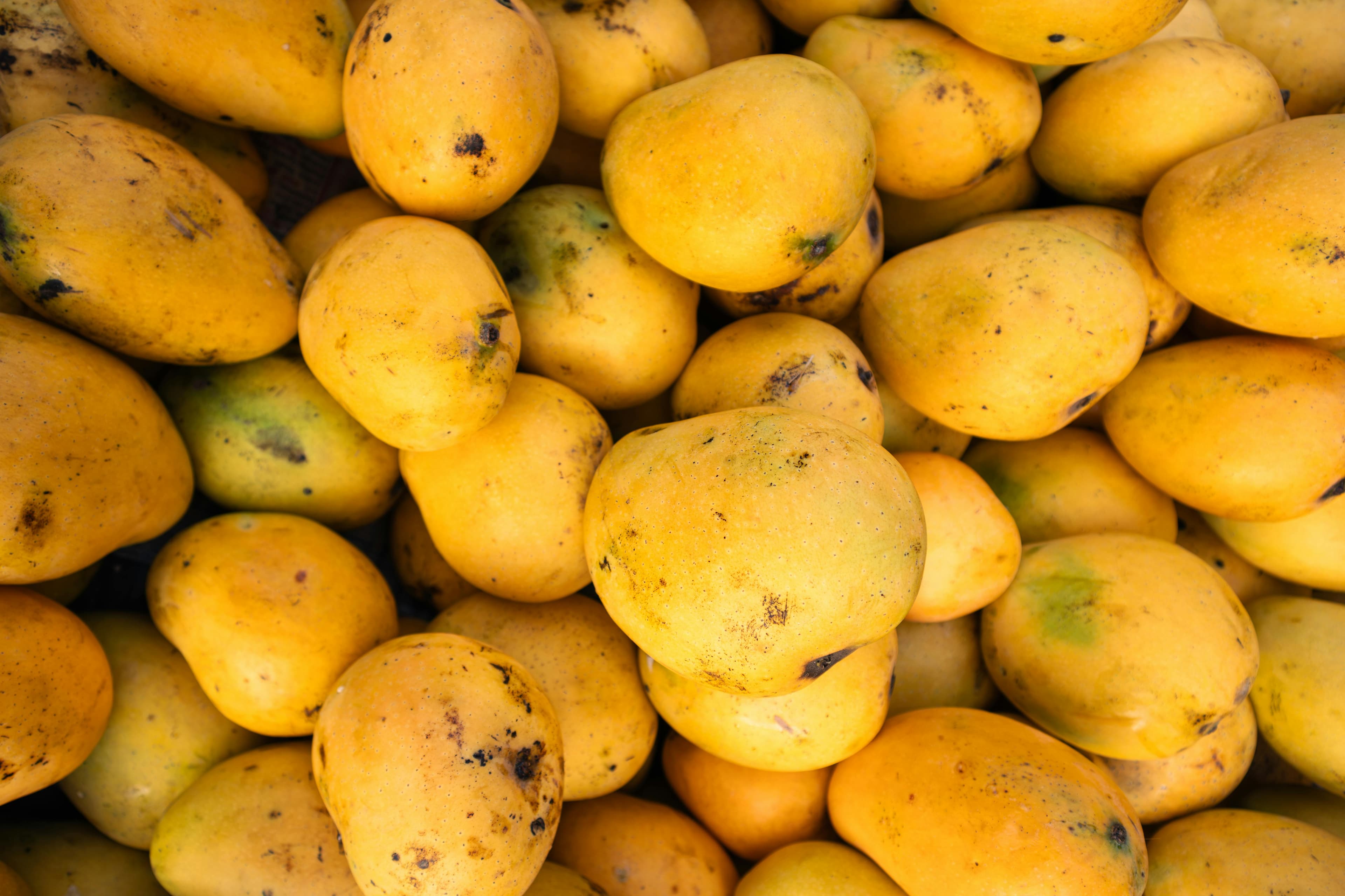 Fresh Indian Mangoes