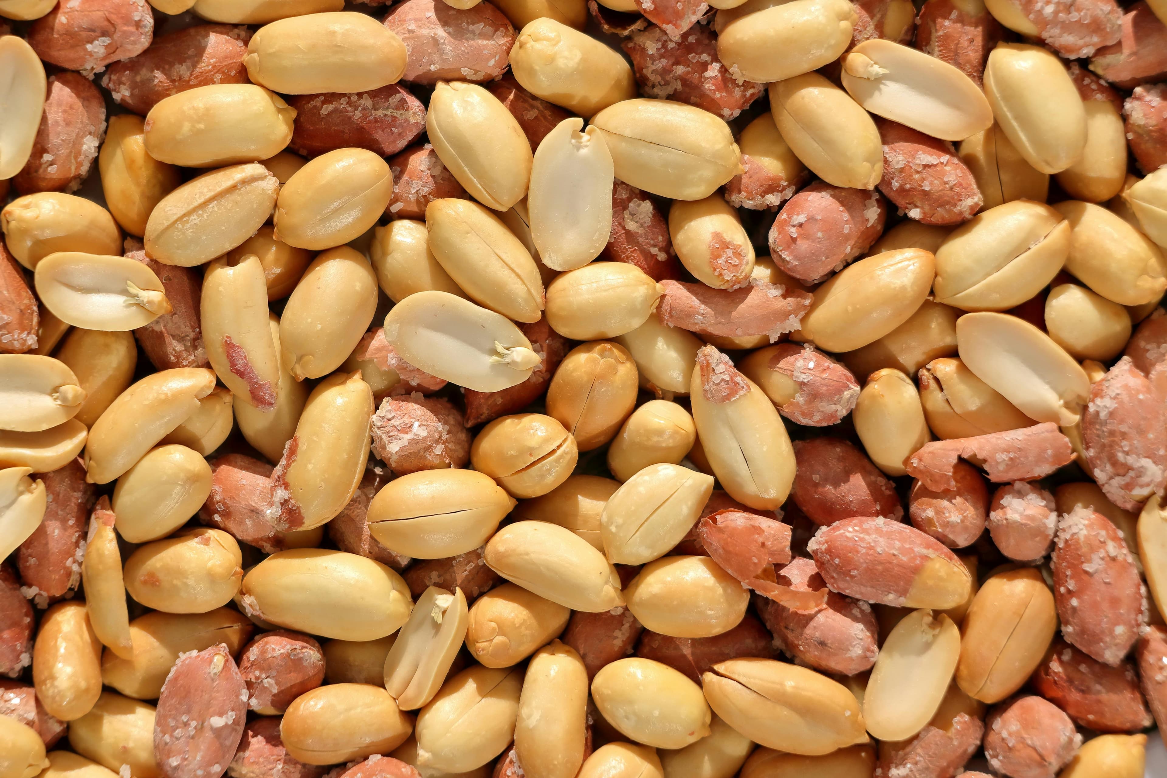 Export Grade Peanuts
